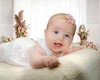 June 4 months 1-Dec-24
