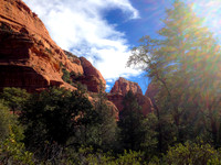 Boyton Canyon from walking tour