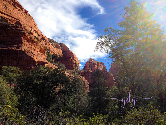 Boyton Canyon from walking tour