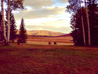 CP Retreat Photos - Snowmass Sept. 2017