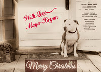 Mayor Brynn at Christmas
