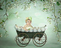 Darlene's Favorite's 21 Pics 10-May-20