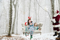 The Ted Linnemann's Christmas 2020 Proofs